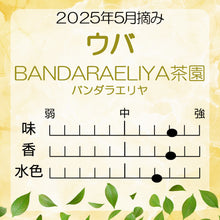 画像をギャラリービューアに読み込む, ウバ バンダラエリヤ茶園 100g袋入 2025年5月摘み