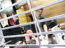 画像をギャラリービューアに読み込む, 【電子レンジで簡単 本格チャイ】マサラチャイ ティーバッグ20個入 ※日時指定不可/ネコポス配送/送料無料